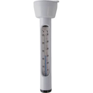 Intex Thermometer