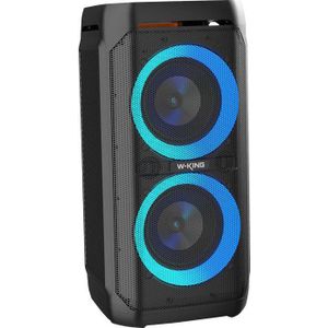 W-KING draadloos Bluetooth luidspreker T11 100W (zwart)