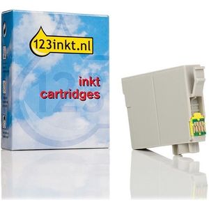 Epson 34XL (T3474) inktcartridge geel hoge capaciteit (123inkt huismerk)