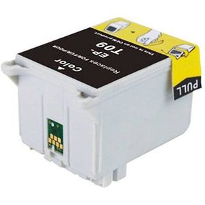 Huismerk Epson T009 cartridge kleur