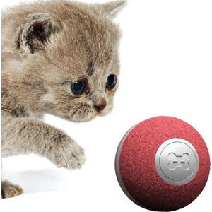 Cheerble Ball M1 voor katten rood