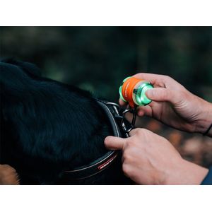 Olight Gober Ipx4 Nood-led-verlichtingsset Zilver 4 Lumens