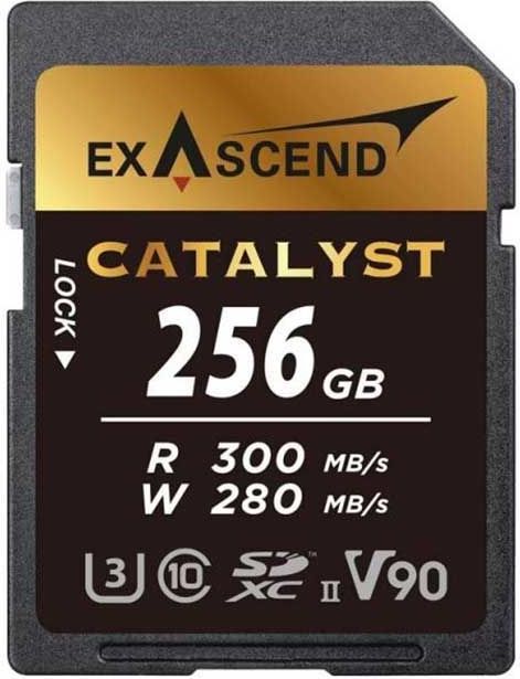 EXASCEND - Catalyst - Geheugenkaart - 256GB - UHS-II V90