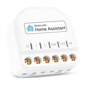 Mini slimme WiFi-relaisschakelaar compatibel met Home Assistant, Alexa, Google Home, slimme verlichtingsschakelaar 10A met stroommeting
