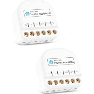 Mini slimme WiFi-relaisschakelaar compatibel met Home Assistant, Alexa, Google Home, slimme verlichtingsschakelaar 10A met stroommeting
