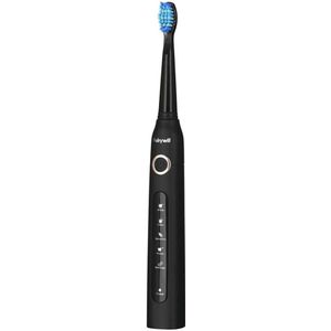 FairyWill FW-507 Plus Sonic Toothbrush with Headset and Case (Black)