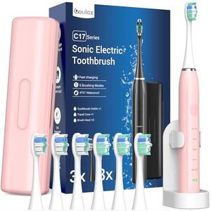 Sonic elektrische tandenborstel, sonische tandenborstel, reistandenborstel, elektrische tandenborstel, oplaadbare tandenborstel met 6 koppen, reisetui, 5 modi, timer
