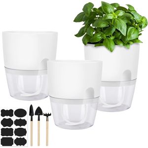 Set van 3 witte keukenkruiden bloempot kunststof plantenpot met zelfbewatering en waterreservoir, 18,2 x 10 x 15 cm, transparant