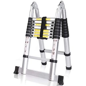 MEYKEY Telescopische ladder, inklapbaar, multifunctionele ladder, uittrekbaar, draagbaar, max. draagvermogen 150 kg, zilver