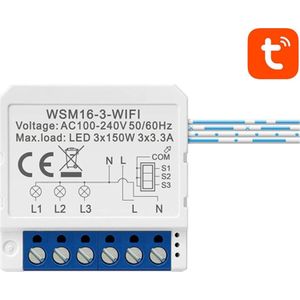 Avatto WSM16-W3 TUYA Smart WiFi Switch Module