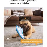 Imou - Ranger Dual - Beveiligingscamera - 360° - 6MP - Slimme Nachtzicht