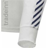 Helly Hansen HH Lifa Stripe Crew Functioneel shirt met lange mouwen voor heren