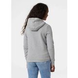 Helly Hansen - Logo Hoodie - Unisex - Katoen - Groen