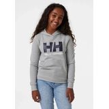 Helly Hansen - Logo Hoodie - Unisex - Katoen - Groen