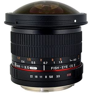 Rokinon HD8M-N 8mm f/3.5 HD Fisheye-lens met automatische diafragmachip en verwijderbare kap voor Nikon DSLR 8-8mm, vaste niet-zoomlens