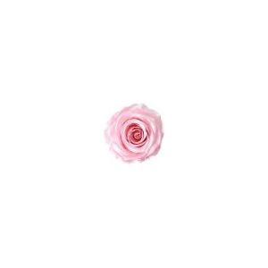 Juli Bloemen rozenkoppen in roze bruid