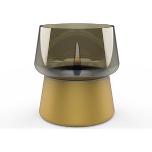 Tenderflame - Amaryllis 14 - Gold Champagne - Rookglas - Sfeerhaard - Tafelhaard