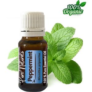 Healing - Pepermunt 10 ml - etherische olie
