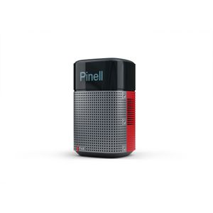 Pinell - North - Draagbare Radio - Rood - Oplaadbaar - DAB+ - Internetradio
