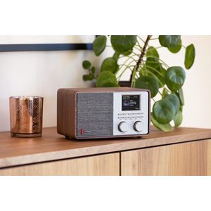 Pinell Supersound 201 (DAB+, FM, Bluetooth), Radio, Bruin