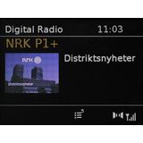 Pinell - Supersound 701 - DAB+ Internetradio - Bluetooth - Walnoot