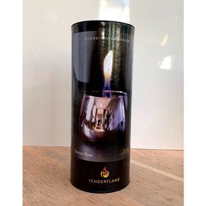 Tenderflame Giftbox Crocus Rosé