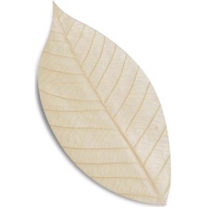 Stone Soap Spa Soap Leaves Silk