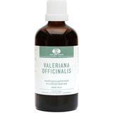 Valeriaan - Druppels - 100 ml - Alcohol 51%