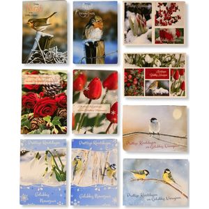 50 Luxe Kerst- en Nieuwjaarskaarten - 9,5x14cm - 10 x 5 dubbele kaarten met enveloppen - serie Snow