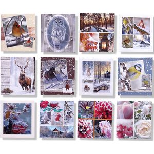 Cards & Crafts 12 Luxe Winter / Kerst Wenskaarten zonder tekst - Blanco - 12x11cm - Gevouwen kaarten met enveloppen