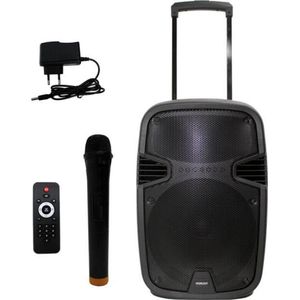 Mobiel geluidsysyeem op accu 800W (draadloze hand microfoon)