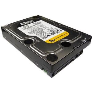1TB RE3 Sata 7200 Rpm HD, WD1002FBYSSP