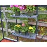 Palram - Canopia Gewächshaus Regaleinsatz Twin Grau 126x30x3