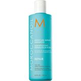 Moroccanoil Moisture Repair Shampoo, 250 ml