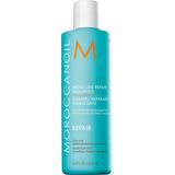 Moroccanoil Moisture Repair Shampoo