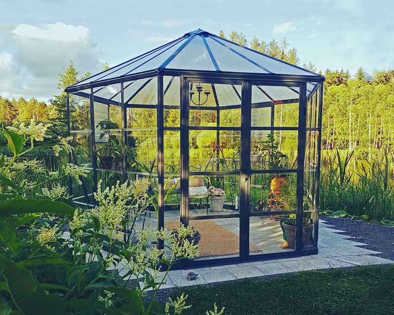 Gewächshaus Oasis 12 Alu Grau 316x363cm