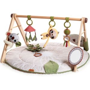 Tiny Love Boho Chic Luxe Developmental Gymini, Speelkleed voor Baby's, Houten Speelgoed Boog, Vanaf 0 Maanden