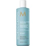 Moroccanoil - Scalp Balancing Shampoo - Hydraterend - 250ml