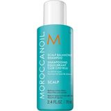 Moroccanoil - Scalp Balancing Shampoo - Kleurloos - Arganolie - 250ml