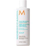 Moroccanoil - Scalp Balancing Conditioner - 70ml - Arganolie - Lavendelolie