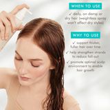 Moroccanoil - Revitalizing Scalp Tonic - 100ml - Haarverzorging - Verfrissend