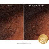 Moroccanoil - Revitalizing Scalp Tonic - 100ml - Haarverzorging - Verfrissend