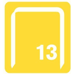 Rapid Nr 13 fijndraadnieten - 4 mm (2500 stuks)