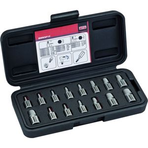 Bahco - BWMSP15 - Tapeindtrekker Bit Set - 15-delig - Ni-Cr-Mo
