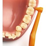 TePe - Angle Interdentale Ragers - Oranje - 6 Stuks
