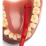 TePe - Angle Interdentale Ragers - Rood - 0,5 mm - 6 Stuks
