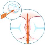 Tepe - EasyPick - Tandenstokers - Paars - 36 Stuks