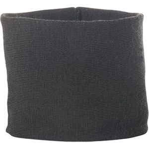 Woolpower Headband Hoofdband (grijs)