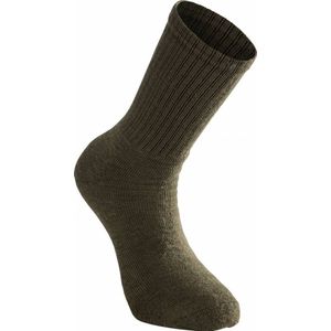 Sokken Woolpower Unisex Socks 200 Pine Green