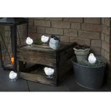 Konstsmide - LED Vogeltjes Set - Acryl - Koud Wit - 5 Stuks